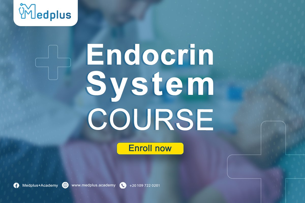 endocrine system